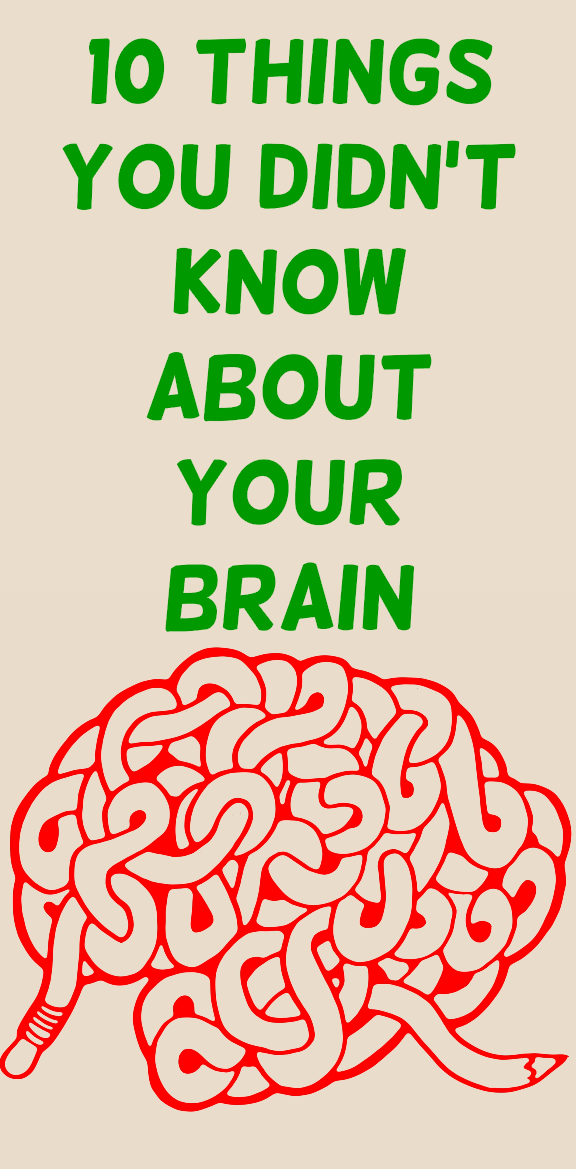 We humans like to think of ourselves as the most intelligent creatures currently existing. We think and communicate more comprehensively than any other animal. But what is it that makes our brains ...